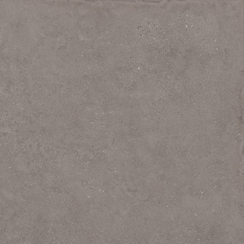 MAXXI6 60DG RM.jpg